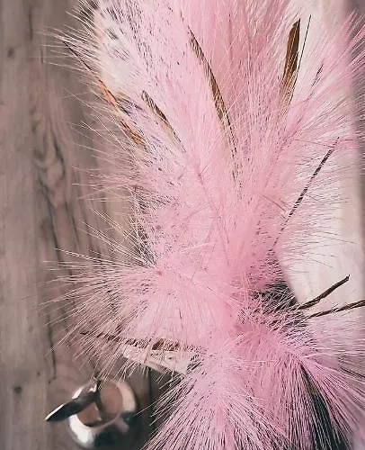 Apartman_mystic Διαμέρισμα *